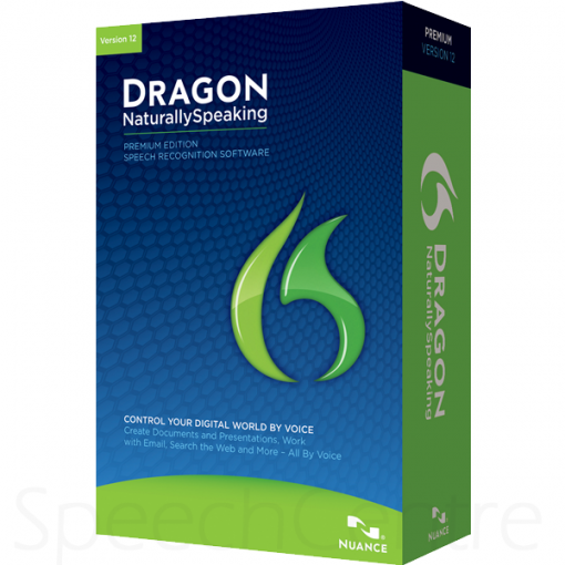 dragon naturally speaking software type